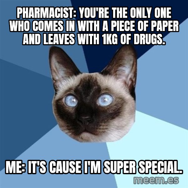 Chronic Illness Cat meme: Pharmacist: You're the only one who comes in with a piece of paper and leaves with 1kg of drugs. / Me: It's cause I'm super special.