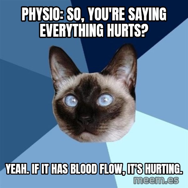 Chronic Illness Cat meme: Physio: So, you're saying everything hurts? / Yeah. If it has blood flow, it's hurting.