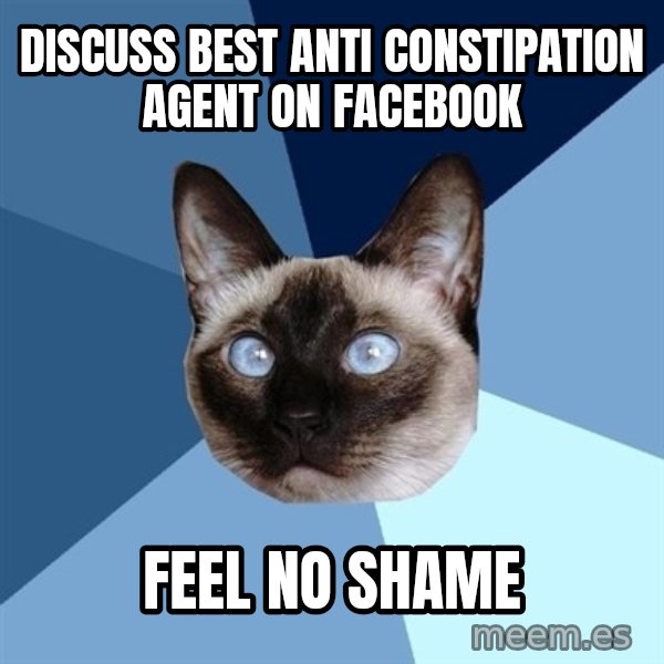 Chronic Illness Cat meme: discuss best anti constipation agent on facebook / feel no shame