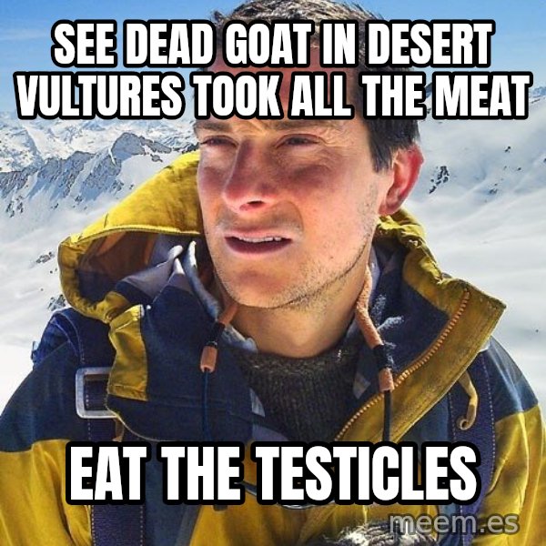 Bear Grylls meme: see dead goat in desert vultures took all the meat / eat the testicles