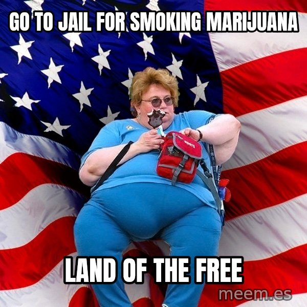 Obese American meme: go to jail for smoking marijuana / land of the free