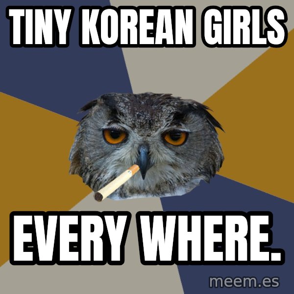 Art Student Owl meme: Tiny Korean Girls / EVERY WHERE.