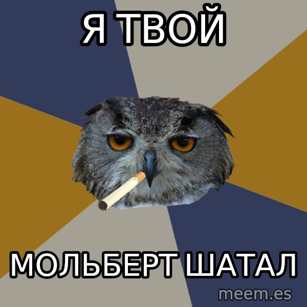 Art Student Owl meme: Я твой / МОЛЬБЕРТ шатал