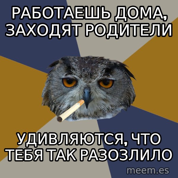 Art Student Owl meme: работаешь дома, заходят родители / удивляются, что тебя так разозлило