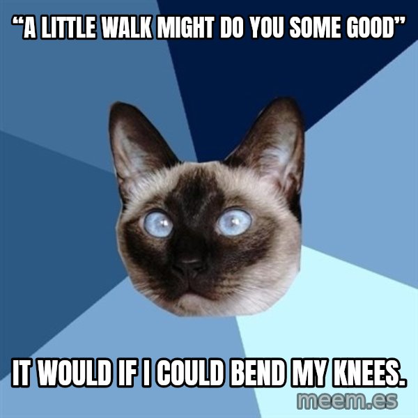 Chronic Illness Cat meme: “A little walk might do you some good” / It would if I could bend my knees.