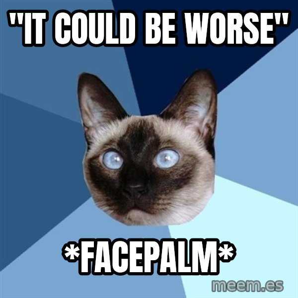 Chronic Illness Cat meme: "It Could Be Worse" / *facepalm*