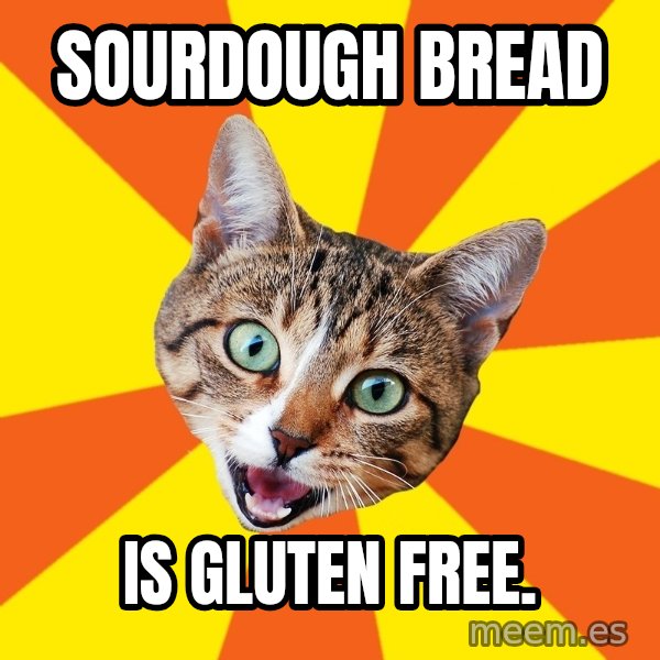 Bad Advice Cat meme: Sourdough Bread / is Gluten Free.