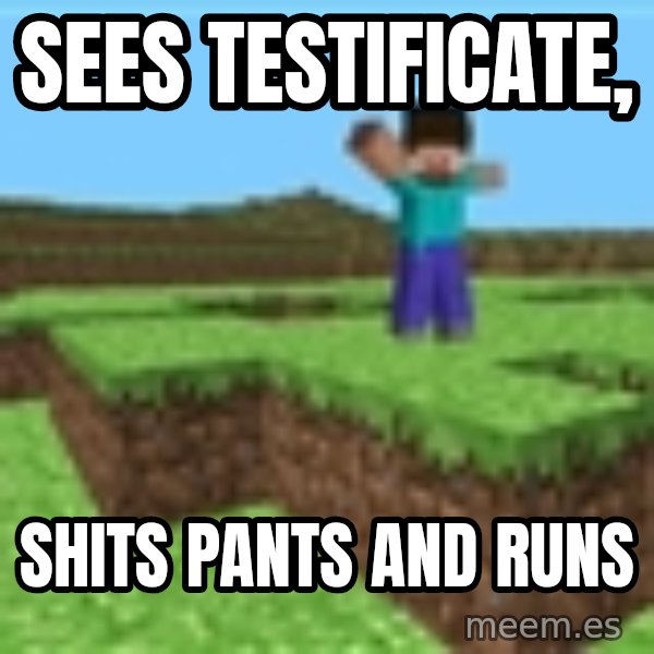 Minecraft Guy meme: Sees testificate, / shits pants and runs