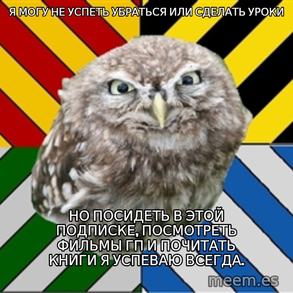 JEALOUS POTTEROMAN meme: я могу не успеть убраться или сделать уроки / но посидеть в этой подписке, посмотреть фильмы Гп и почитать книги я успеваю всегда.
