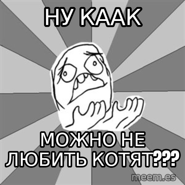 Whyyy??? meme: ну каак / можно не любить котят???