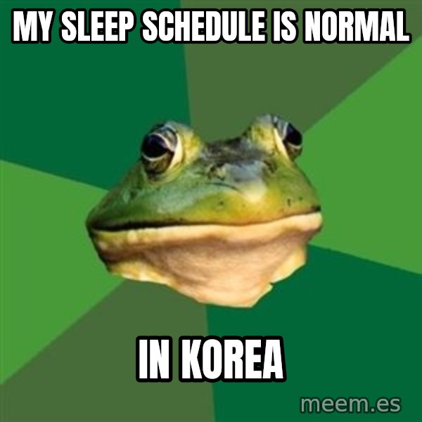 Foul Bachelor Frog meme: My sleep SCHEDULE is normal / In korea