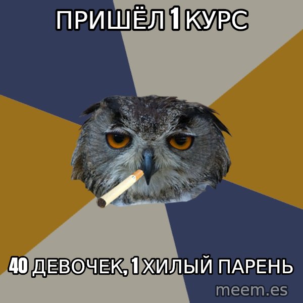 Art Student Owl meme: пришёл 1 курс / 40 девочек, 1 хилый парень