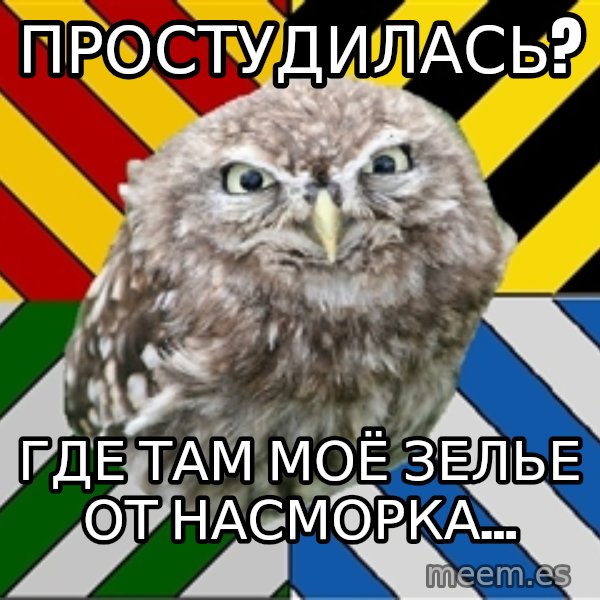 JEALOUS POTTEROMAN meme: простудилась? / Где там моё зелье от насморка...