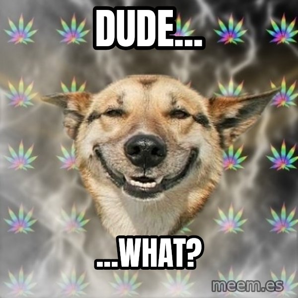 Stoner Dog meme: dude... / ...what?