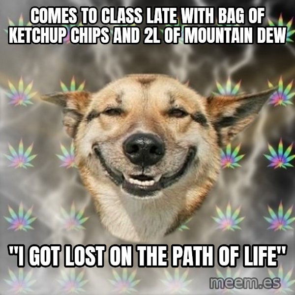Stoner Dog meme: COMES TO CLASS LATE WITH BAG OF KETCHUP CHIPS AND 2L OF MOUNTAIN DEW / "I got lost on the path of life"