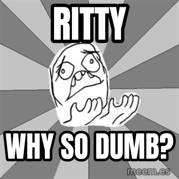 Whyyy??? meme: ritty / Why so dumb?