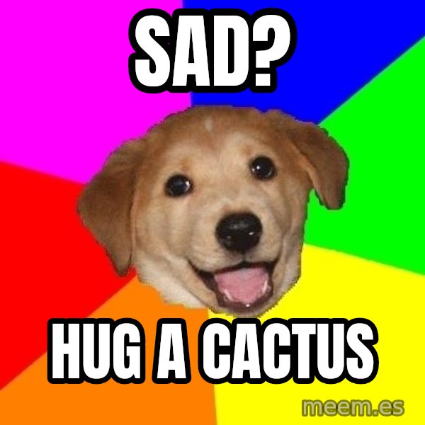 Advice Dog meme: sad? / hug a cactus