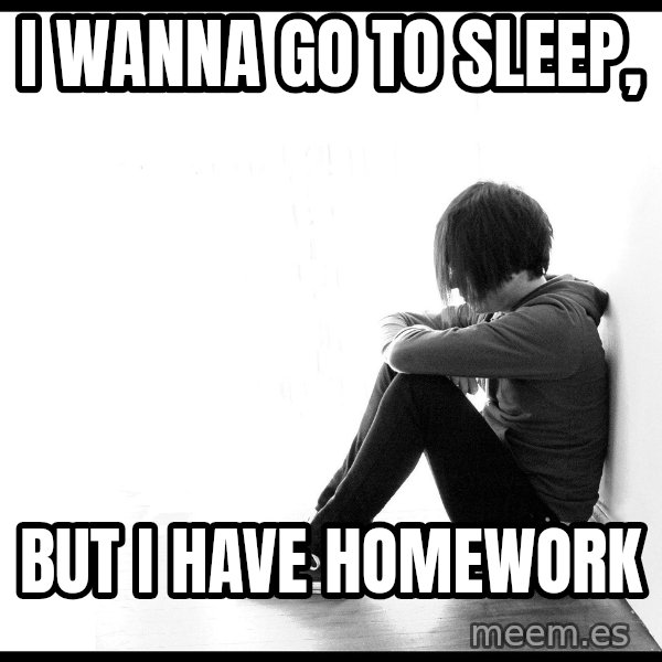 First World Problems meme: i wanna go to sleep, / but i have homework