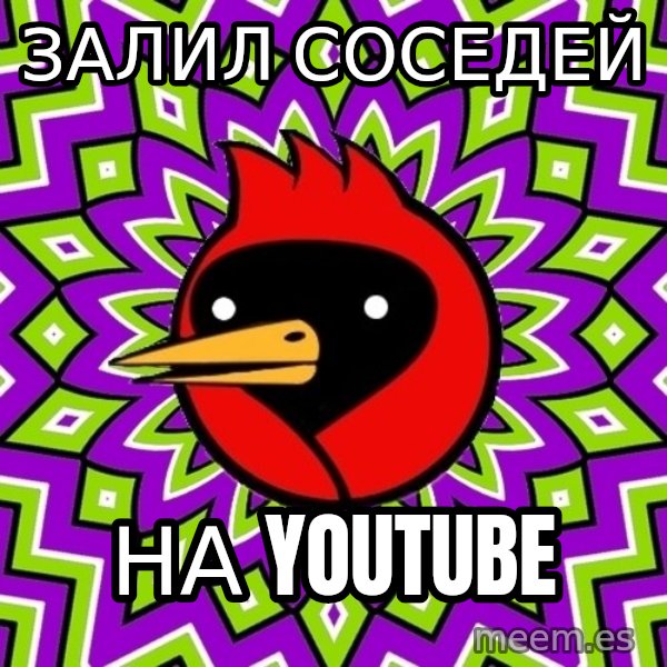 Omsk Crow meme: залил соседей / на youtube