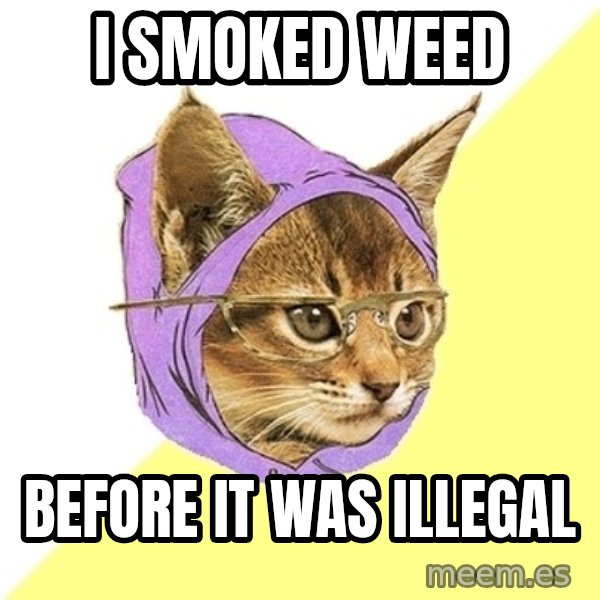 Hipster Kitty meme: i smoked weed / before it was illegal