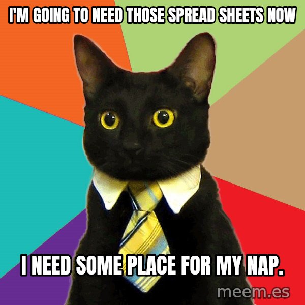 Business Cat meme: I'm going to need those spread sheets Now / I need some place for my nap.