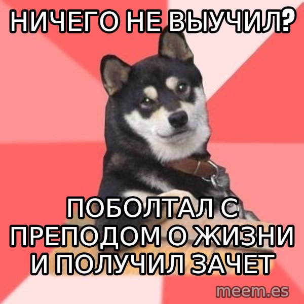 Cool Dog meme: НИЧЕГО НЕ ВЫУЧИЛ? / ПОБОЛТАЛ С ПРЕПОДОМ О ЖИЗНИ И ПОЛУЧИЛ ЗАЧЕТ