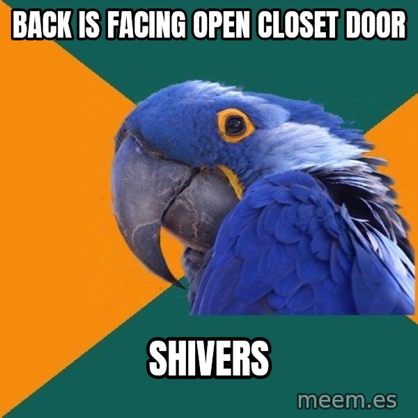 Paranoid Parrot meme: BACK IS FACING OPEN CLOSET DOOR / SHIVERS