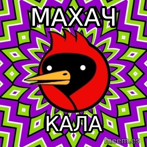 Omsk Crow meme: Махач / Кала