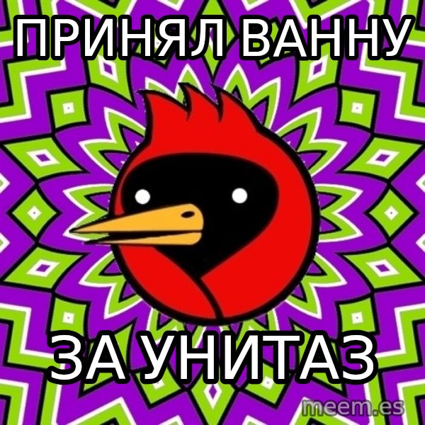Omsk Crow meme: принял ванну / за унитаз