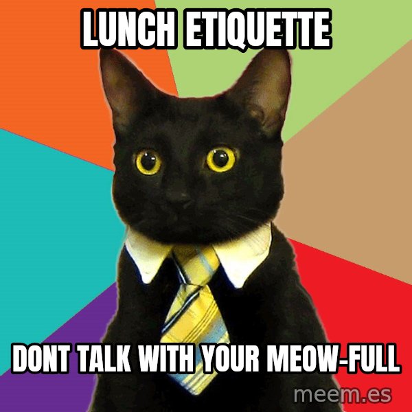 Business Cat meme: Lunch etiquette / dont talk with your meow-full