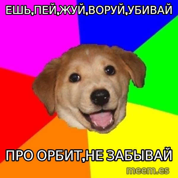 Advice Dog meme: ешь,пей,жуй,воруй,убивай / про орбит,не забывай