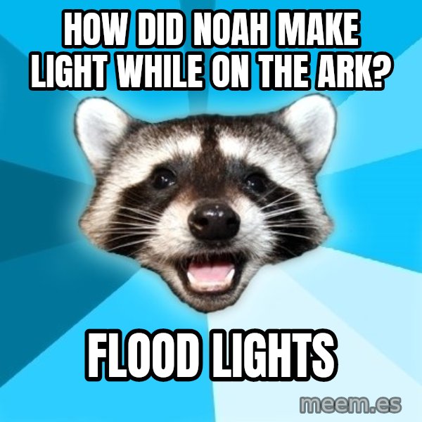 Lame Pun Coon meme: How did Noah make light while on the ark? / FLOOD LIGHTS