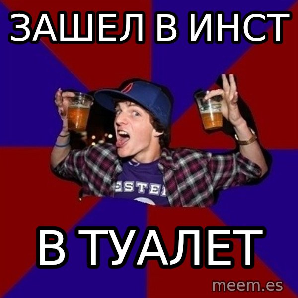 Sunny Student meme: Зашел в инст / в туалет