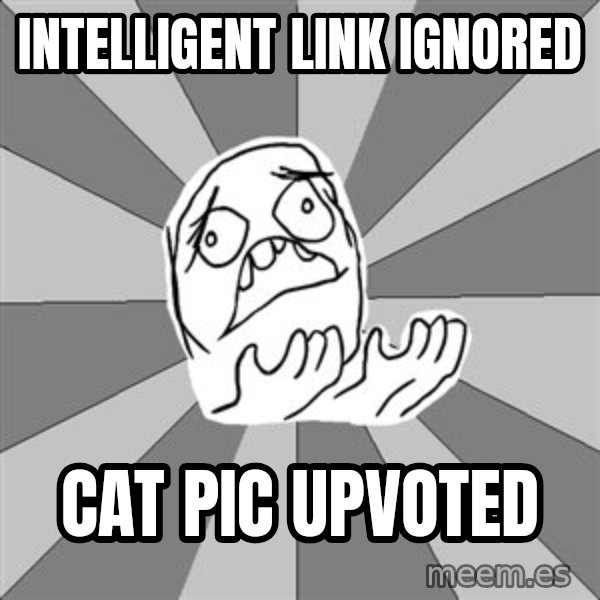 Whyyy??? meme: INTELLIGENT link ignored / cat pic upvoted