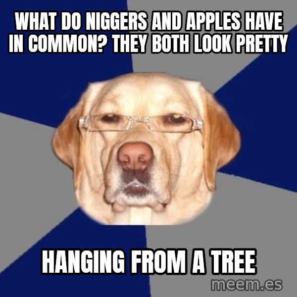 Racist Dawg meme: what do niggers and apples have in common? they both look pretty / hanging from a tree