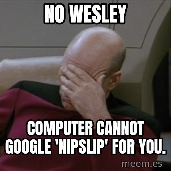 Picardfacepalm meme: NO WESLEY / computer cannot google 'nipslip' for you.