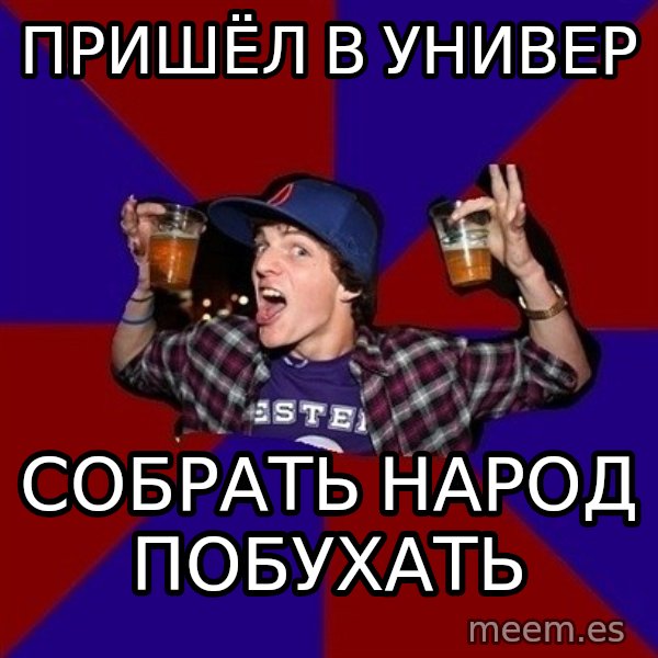 Sunny Student meme: пришёл в универ / собрать народ  побухать