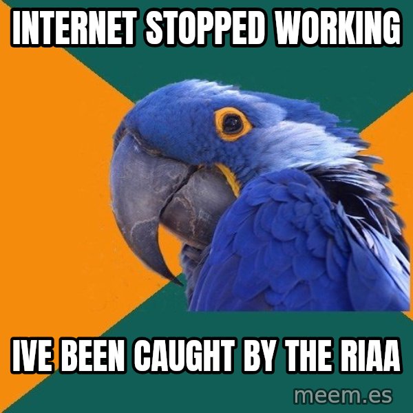 Paranoid Parrot meme: internet stopped working / ive been caught by the riaa