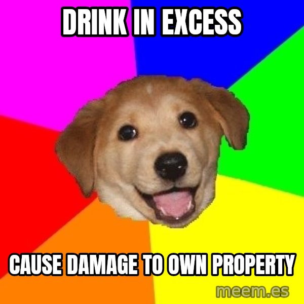 Advice Dog meme: DRINK IN EXCESS / CAUSE DAMAGE TO OWN PROPERTY