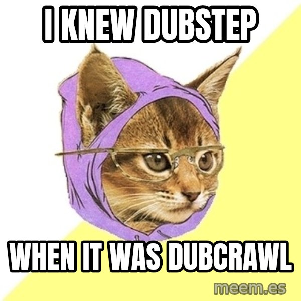 Hipster Kitty meme: I knew Dubstep / When it was dubcrawl