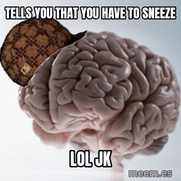 Scumbag Brain meme: tells you that you have to  sneeze / lol jk