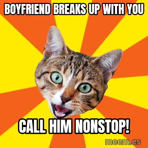 Bad Advice Cat meme: boyfriend breaks up with you / call him nonstop!