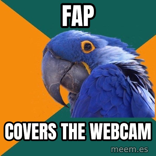 Paranoid Parrot meme: fap / covers the webcam
