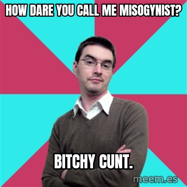 Privilege Denying Dude meme: How dare you call me misogynist? / Bitchy cunt.