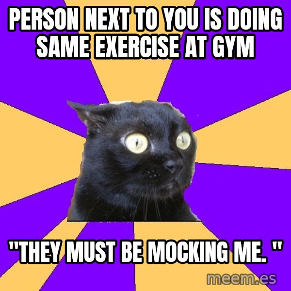 Anxiety Cat meme: Person next to you is doing same exercise at gym / "they must be mocking me. "