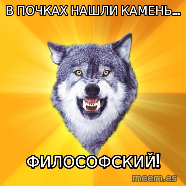 Courage Wolf meme: В почках нашли камень... / Философский!