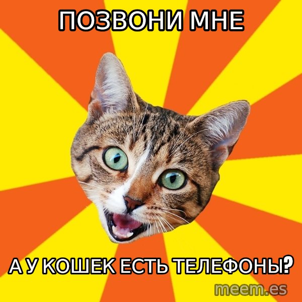 Bad Advice Cat meme: Позвони мне / А у кошек есть телефоны?