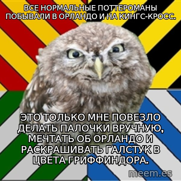 JEALOUS POTTEROMAN meme: все нормальные поттероманы побывали в орландо и на кингс-кросс. / это только мне повезло делать палочки вручную, мечтать об орландо и раскрашивать галстук в цвета гриффиндора.