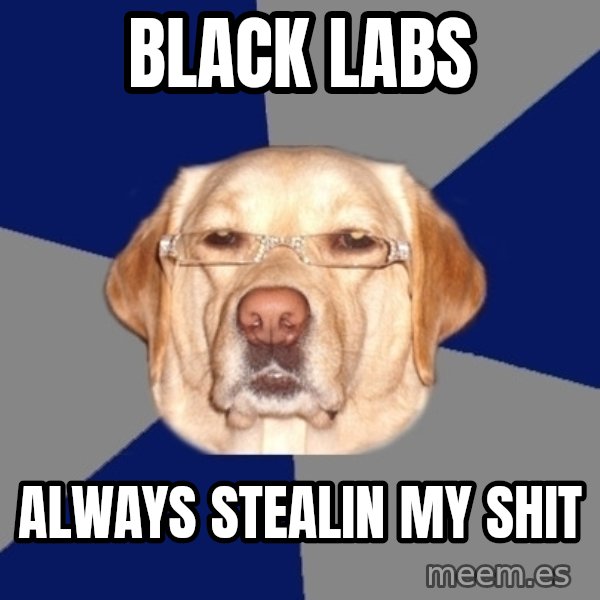Racist Dawg meme: Black Labs / always stealin my shit