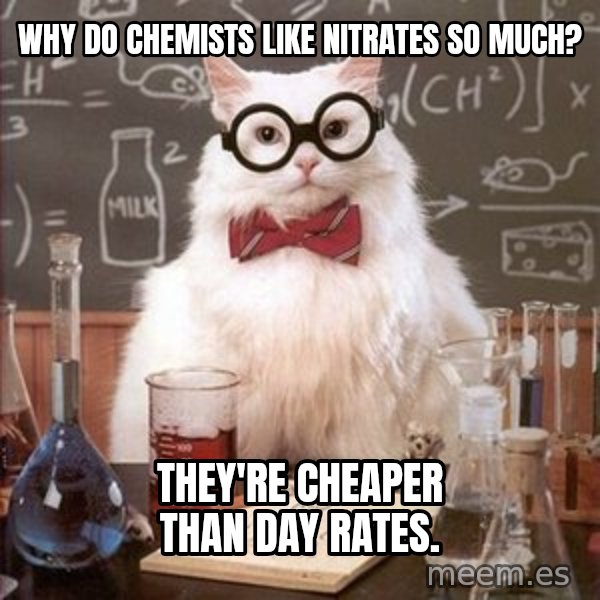 Chemistry Cat meme: Why do chemists like nitrates so much? / They're cheaper than day rates.